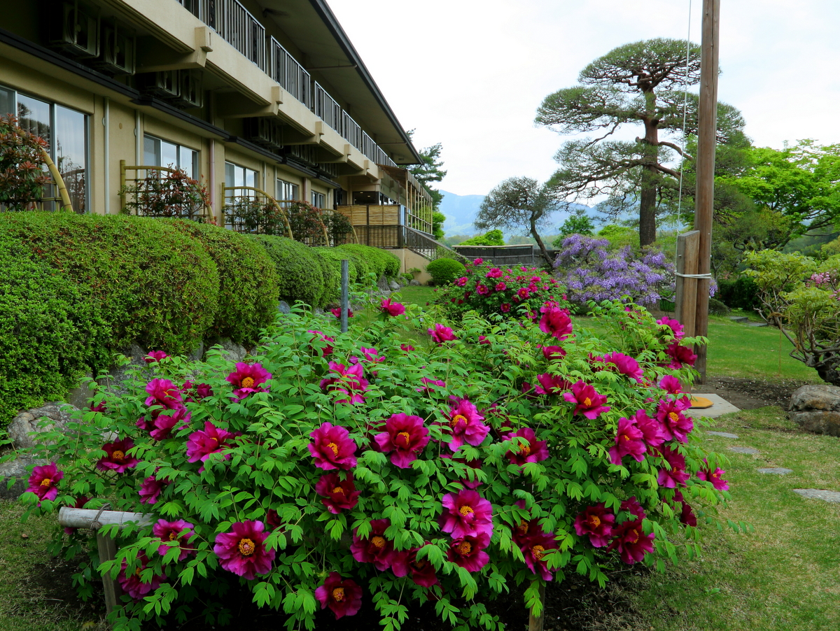 四季の花暦 長瀞旅館 花のおもてなし 長生館
